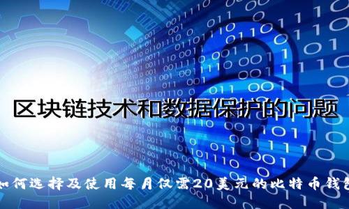 如何选择及使用每月仅需20美元的比特币钱包