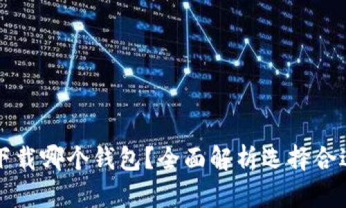 买瑞波币需要下载哪个钱包？全面解析选择合适的瑞波币钱包