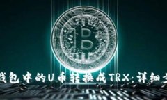 如何将TP钱包中的U币转换