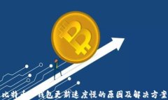 比特币冷钱包更新速度慢