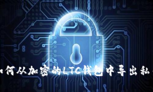 如何从加密的LTC钱包中导出私钥
