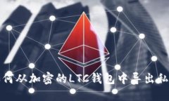 如何从加密的LTC钱包中导