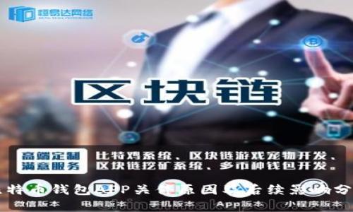 比特币钱包APP关停原因及后续影响分析