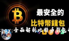 Instawalletpay：全面解析比特