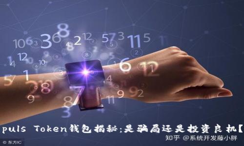puls Token钱包揭秘：是骗局还是投资良机？