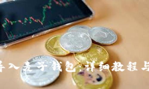 如何将SOL链导入麦子钱包：详细教程与常见问题解答