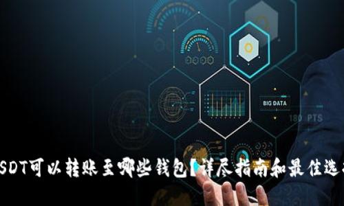 USDT可以转账至哪些钱包？详尽指南和最佳选择