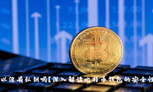 比特币钱包可以没有私钥吗？深入解读比特币钱包的安全性与私钥的作用