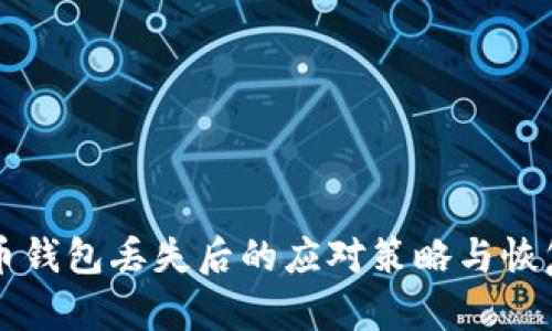 比特币钱包丢失后的应对策略与恢复方法