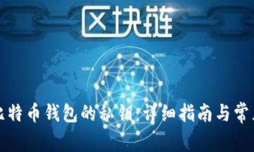 如何查看比特币钱包的私钥：详细指南与常见问题解答