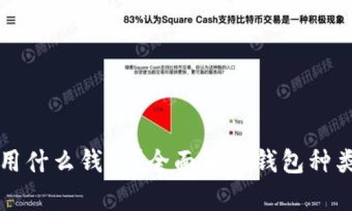 比特币一般用什么钱包？全面解析钱包种类与选择指南