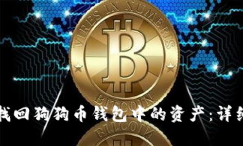 如何找回狗狗币钱包中的资产：详细指南