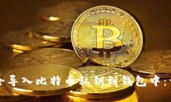 如何安全导入比特币私钥