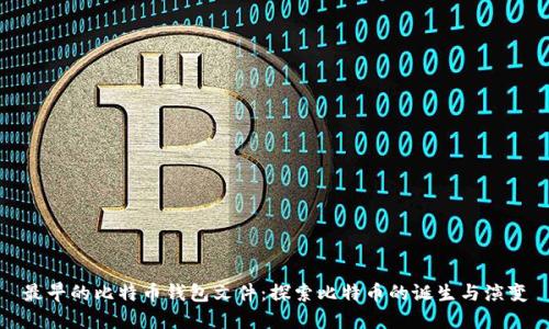 最早的比特币钱包文件：探索比特币的诞生与演变