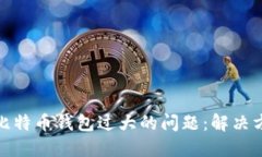 如何处理比特币钱包过大