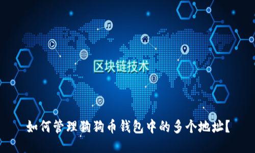 如何管理狗狗币钱包中的多个地址？