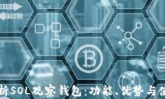 全面解析SOL观察钱包：功