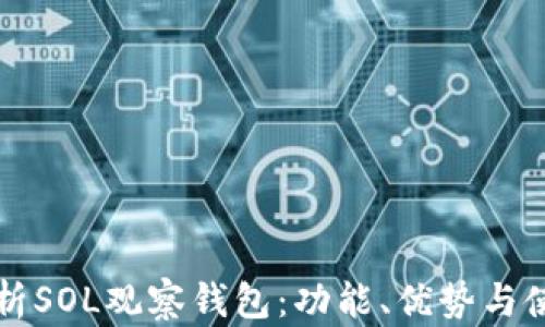 
全面解析SOL观察钱包：功能、优势与使用指南