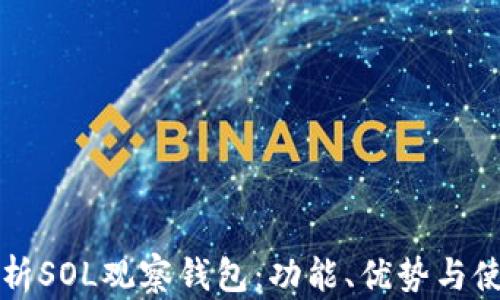
全面解析SOL观察钱包：功能、优势与使用指南