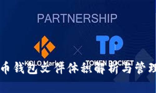 比特币钱包文件体积解析与管理指南