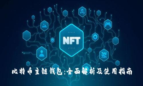 比特币主链钱包：全面解析及使用指南