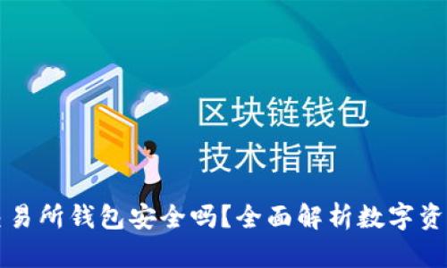 以太坊交易所钱包安全吗？全面解析数字资产安全性