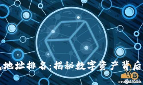 区块链钱包地址排名：揭秘数字资产背后的财富游戏