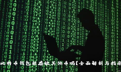 比特币钱包能存放其他币吗？全面解析与指南
