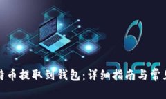 如何将比特币提取到钱包：详细指南与常见问题