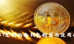 USDT支持的冷钱包推荐及使用指南