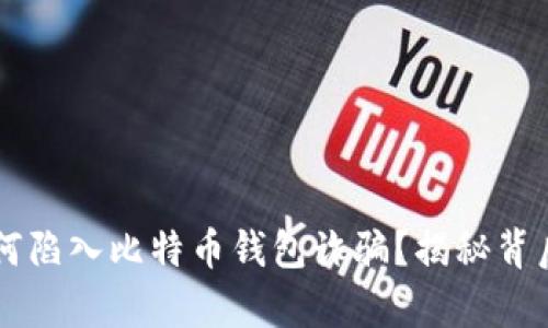 黑客如何陷入比特币钱包诈骗？揭秘背后的真相