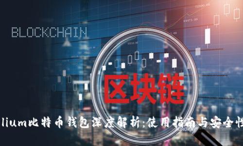 Mycelium比特币钱包深度解析：使用指南与安全性探讨