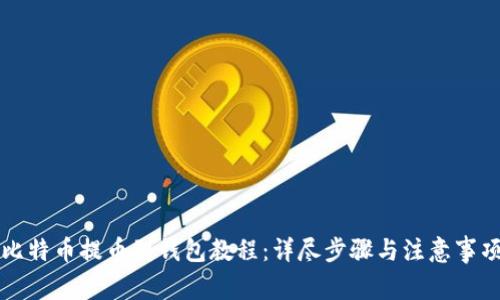 比特币提币到钱包教程：详尽步骤与注意事项