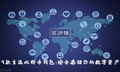 9款主流比特币钱包：安全存储你的数字资产