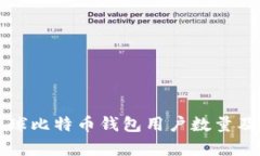 Title: 全球比特币钱包用户