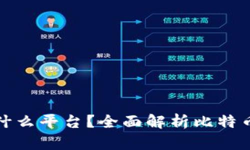 比特币接收钱包是什么平台？全面解析比特币钱包的功能与选择