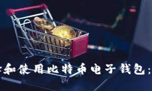 如何选择和使用比特币电子钱包：全面指南