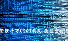 如何安全管理千万USDT钱包