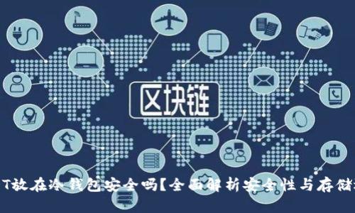 USDT放在冷钱包安全吗？全面解析安全性与存储选项