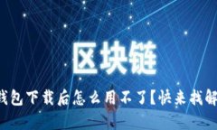泰达币钱包下载后怎么用不了？快来找解决办法