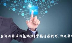 如何高效查询比特币钱包地址？掌握这些技巧，