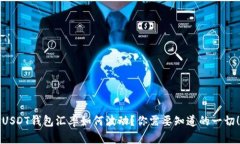 “USDT钱包汇率如何波动？