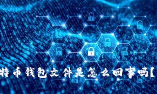 你知道比特币钱包文件是怎么回事吗？一探究竟！