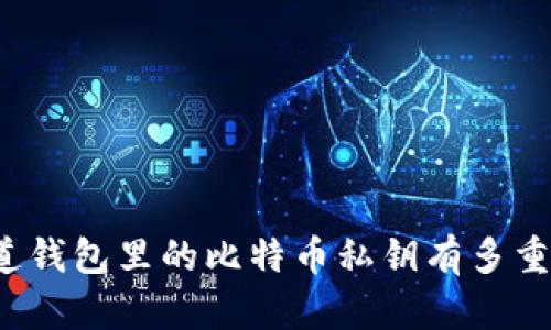 你知道钱包里的比特币私钥有多重要吗？