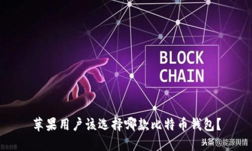 苹果用户该选择哪款比特币钱包？