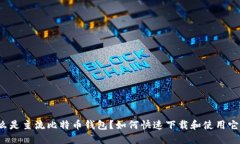 什么是主流比特币钱包？