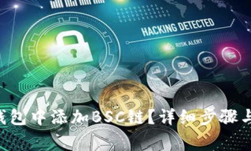 如何在Token钱包中添加BSC链？详细步骤与常见问题解答