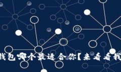 官方比特币钱包哪个最适
