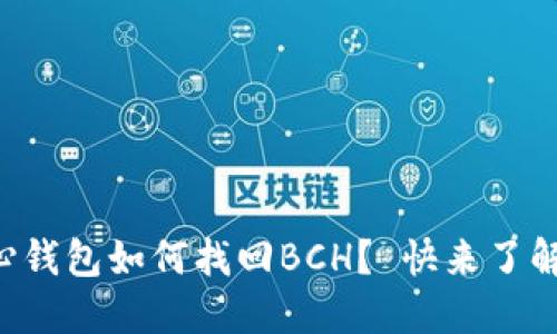 比特币核心钱包如何找回BCH？ 快来了解实用技巧！