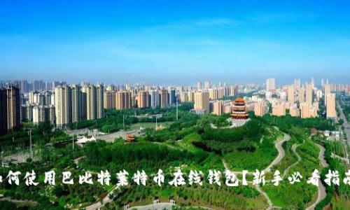 如何使用巴比特莱特币在线钱包？新手必看指南！